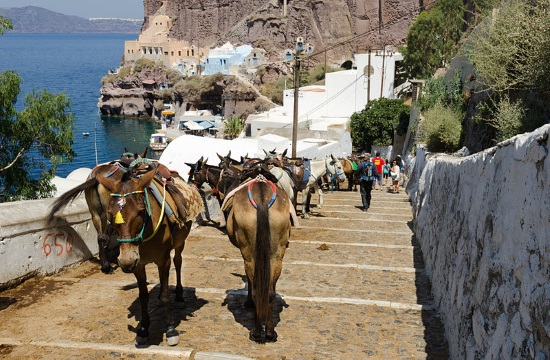 Greece Bans Overweight Tourists From Riding Donkeys