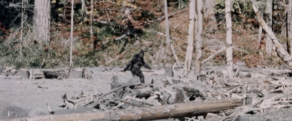 Montana Man Shot at, Mistaken for Bigfoot