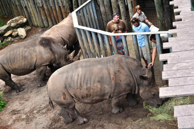 The rhinoceros enclosure at Brevard Zoo in Melbourne, Florida.