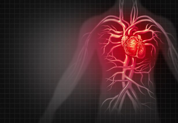 Heart Attack Drug May Decrease Damage