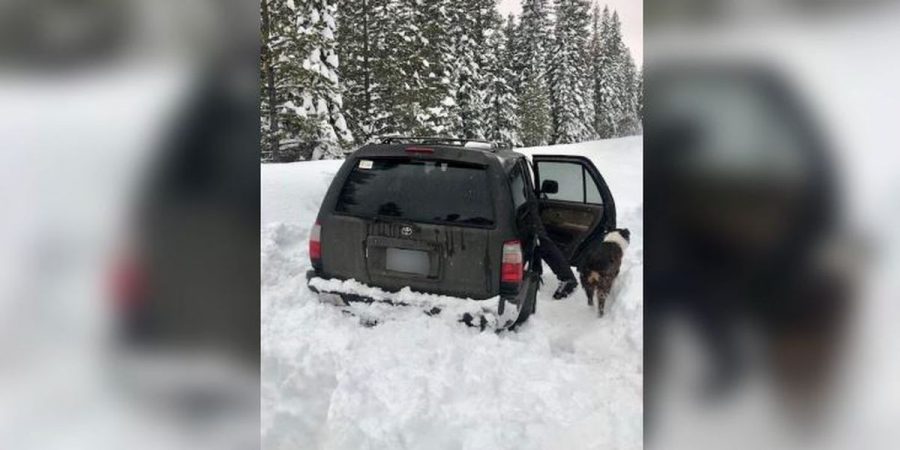 Taco Bell Saves the Life of a Man and his dog Stuck in Car