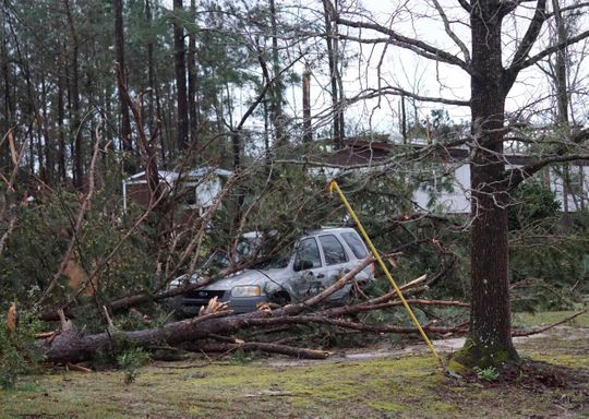 A vehicle trapped under fallen trees in the aftermath of the tornadoes that hit Alabama on Sunday.