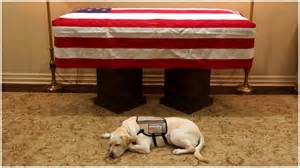 George H.W. Bushs Service Dog, Sully, Gets Reassigned to US Navy