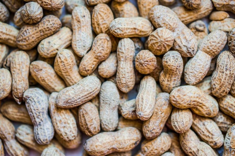 The Food and Drug Administration has voted in favor of a new treatment for children with peanut allergies. Final approval decisions will occur by January, 2020.