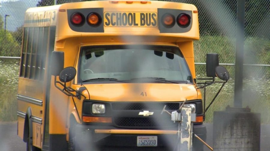 School bus driver arrested for DUI