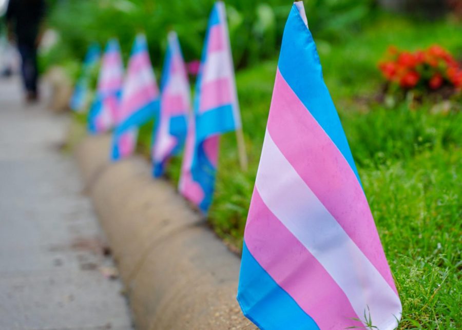 Image of several small transgender flags. 