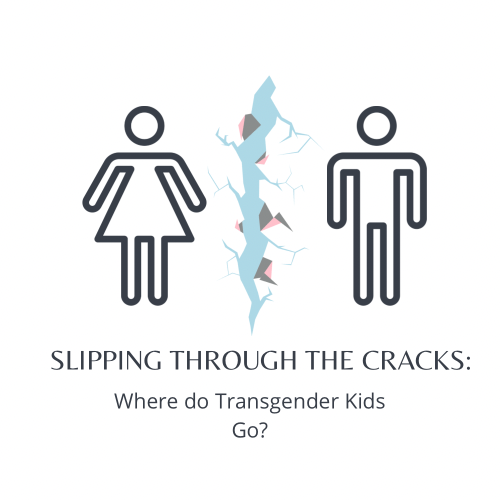 Slipping Through the Cracks: Where do Transgender Kids Go?