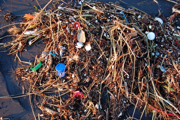 Pieces of plastic and debris found in a chunk of the patch.