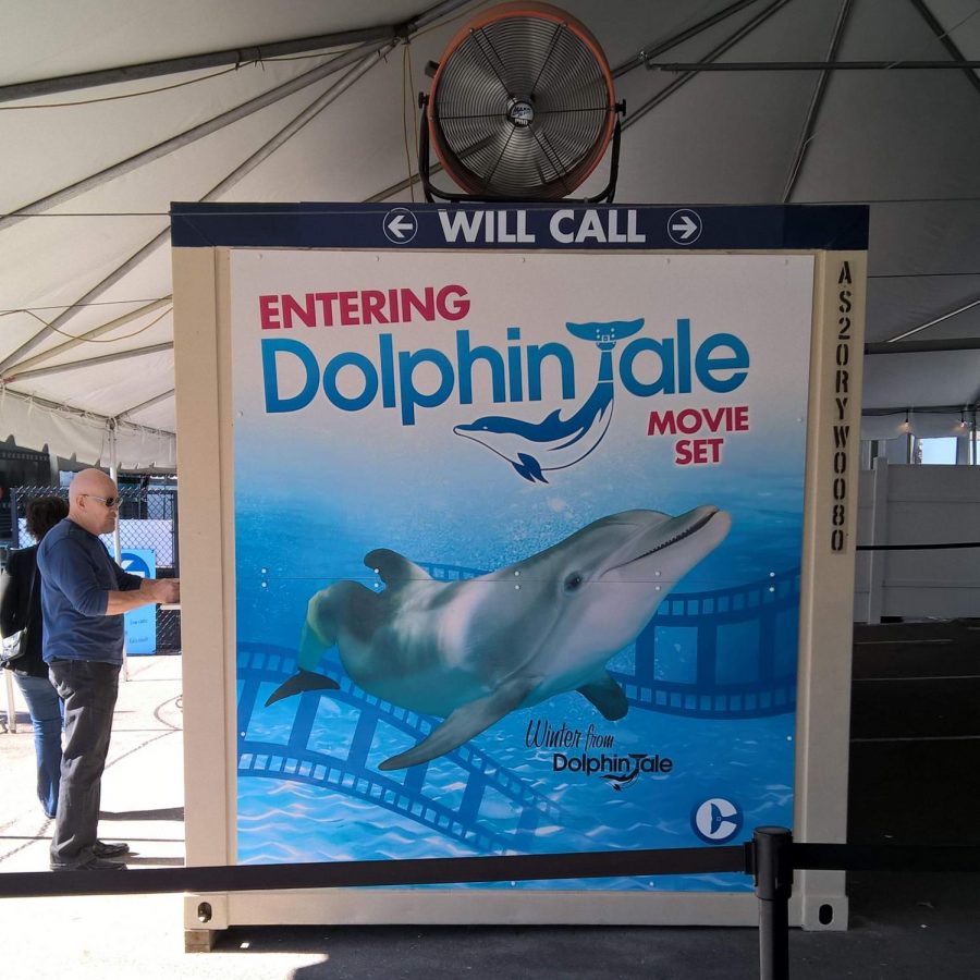 The beloved movie Dolphin Tales, telling the story of Winter and her journey with a prosthetic.