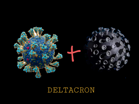 Deltacron is a combination of the Delta and Omicron variants. 