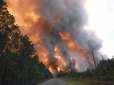 Residents Evacuate Among Wildfire. 