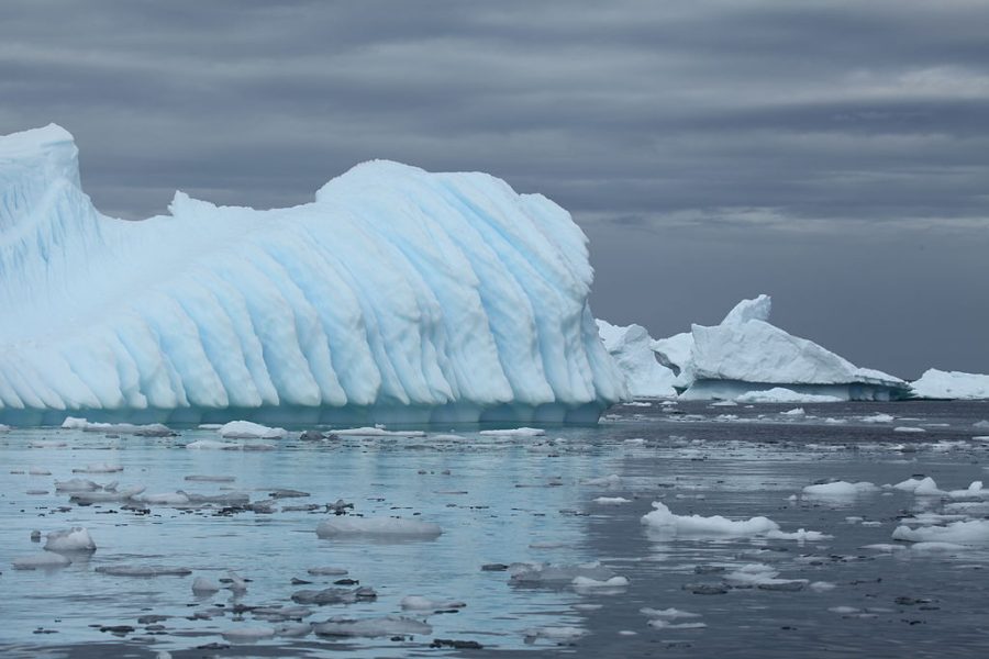 Antarctica hits record highs suddenly. 