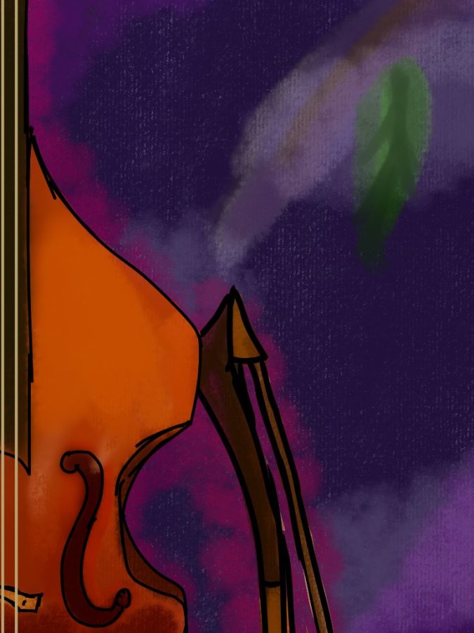 A double bass in a field of lavender after sunsets.