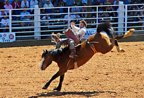Rodeo Day is coming soon! Learn about its brief history!