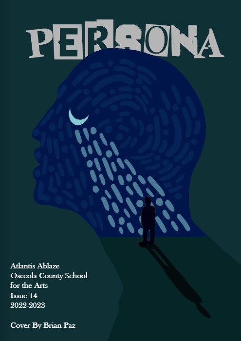 Issue #14: Persona
