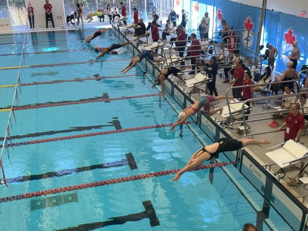 Swimmers take off the blocks in the 100-meter freestyle.