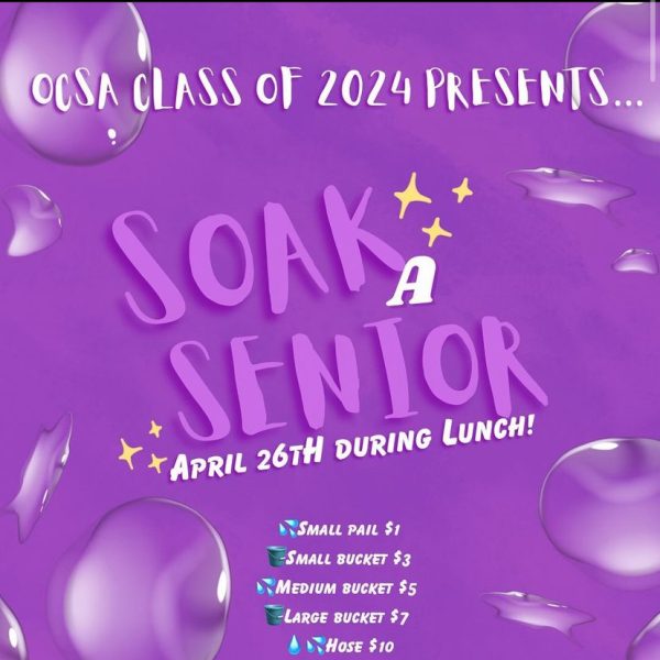 Participate in Soak A Senior!