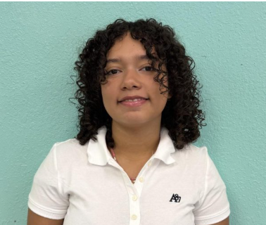 Alyssa Danish, Reporter