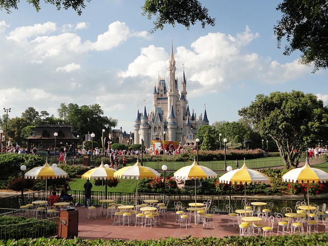 Wilson organized the trips to Disney World in Florida, Washington, D.C., and New Orleans, according to the report. 