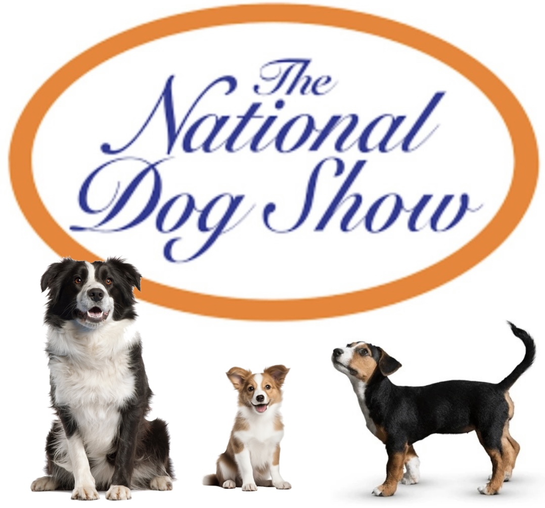 Tune in to the 2024 National Dog Show on Thanksgiving!