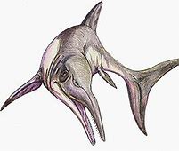 The Thalassodraco etchesi, discovered by Steve Etches, has been identified.