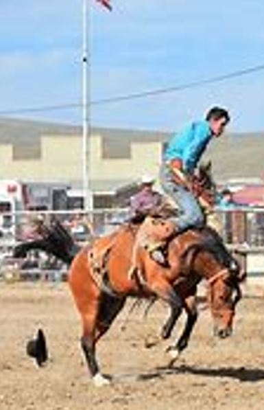 A man being almost bucked off a horse at the rodeo.