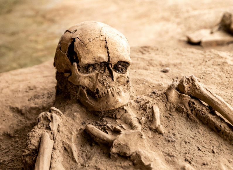 Modern Day Investigators Use Decade-Old Bone Remains to Identify Serial Killer Victims.