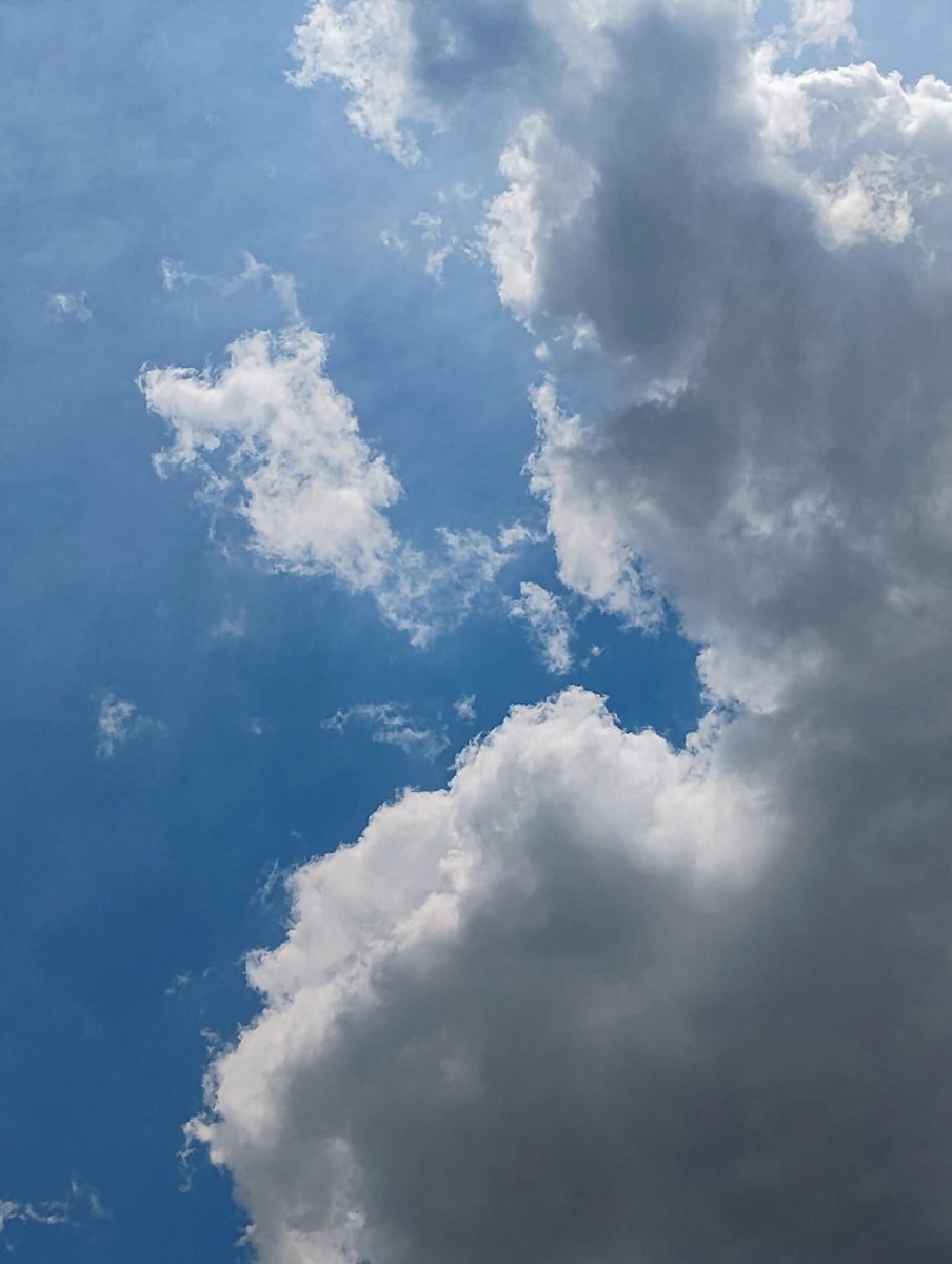 The beautiful day sky