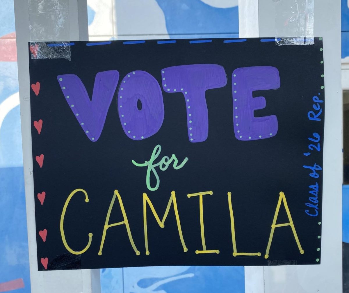 A Student's Campaign Poster to Become the Class of 2026 Representative!