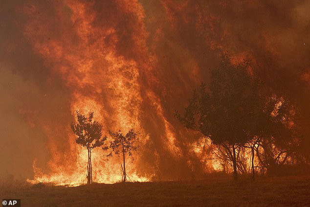Wildfires in Spain Destroy Forests