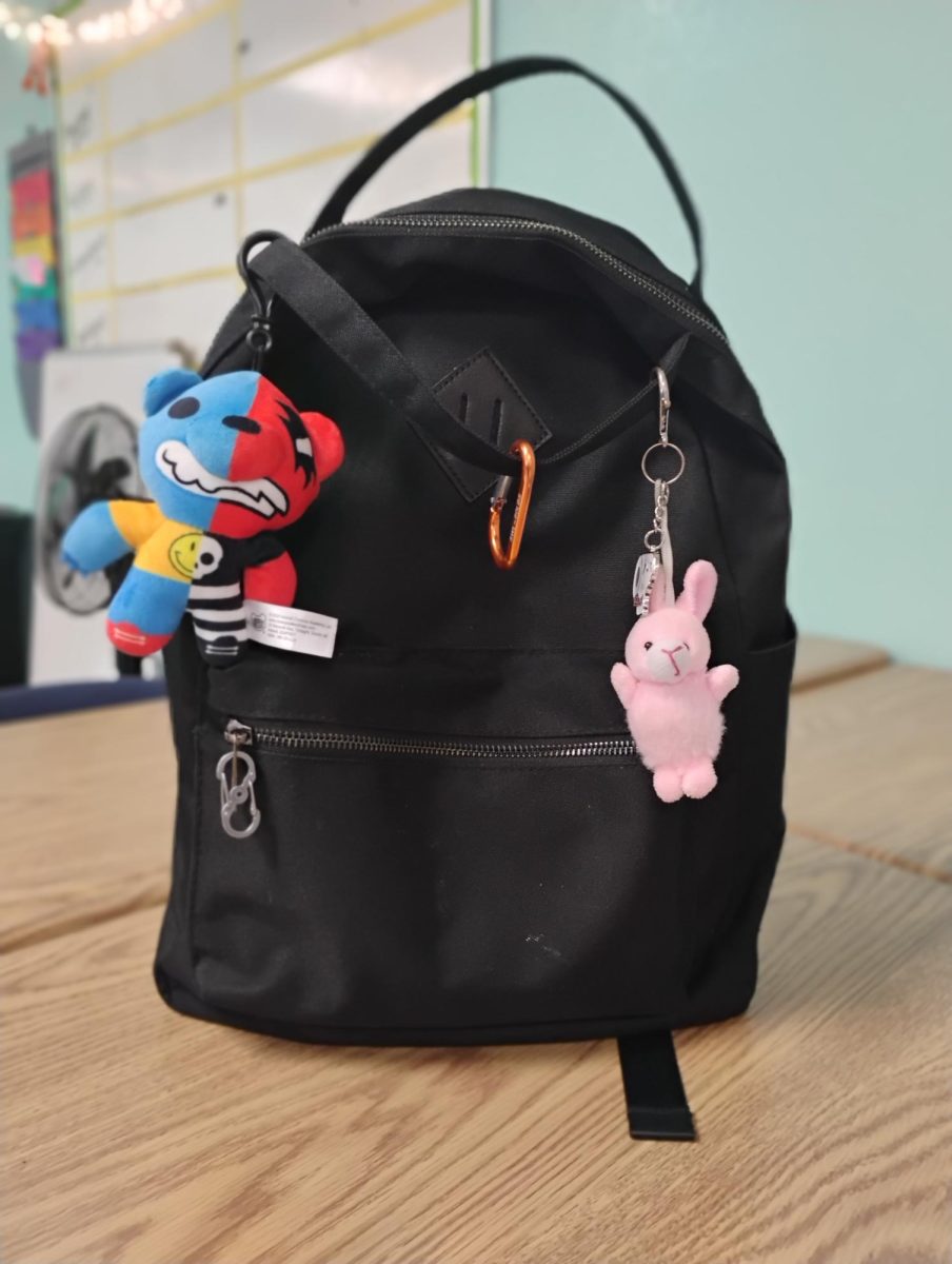 My organized backpack