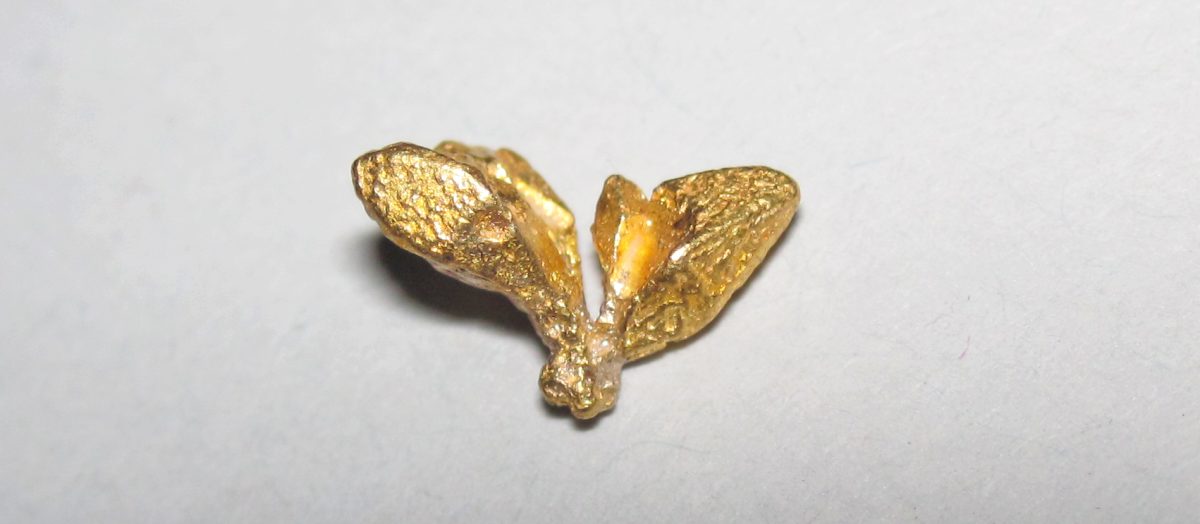 Native gold from Icabaru, Venezuela