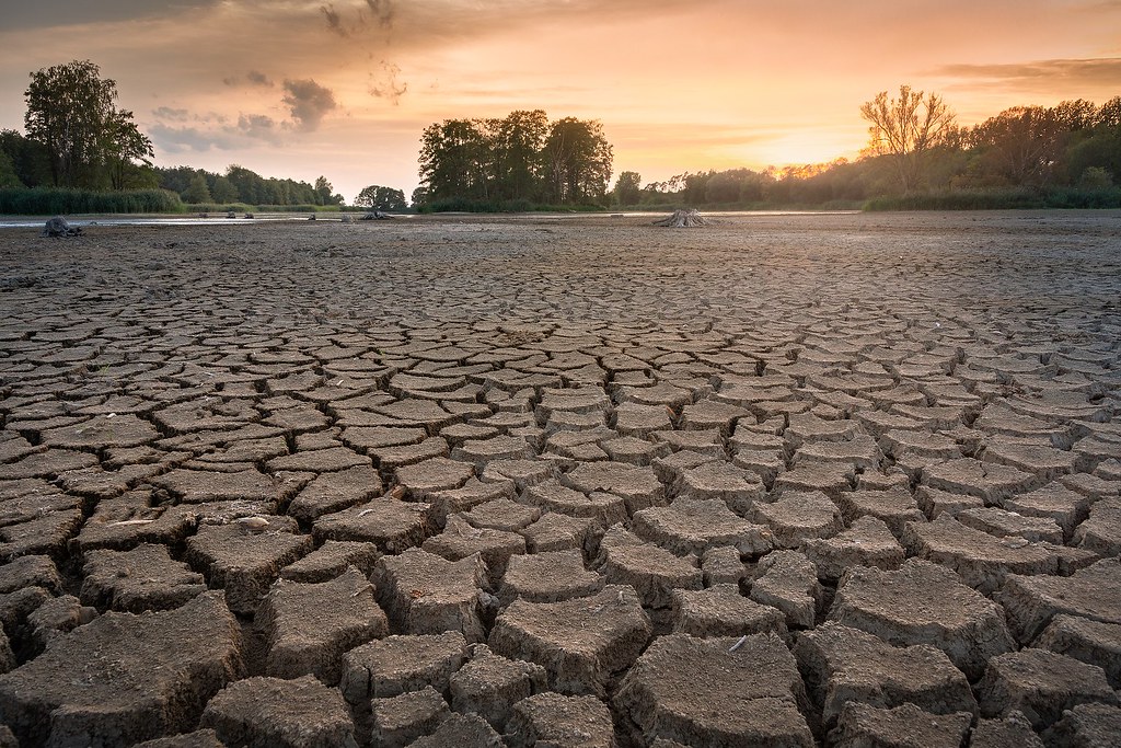 Numerous droughts have impacted the lives of many around the world.
