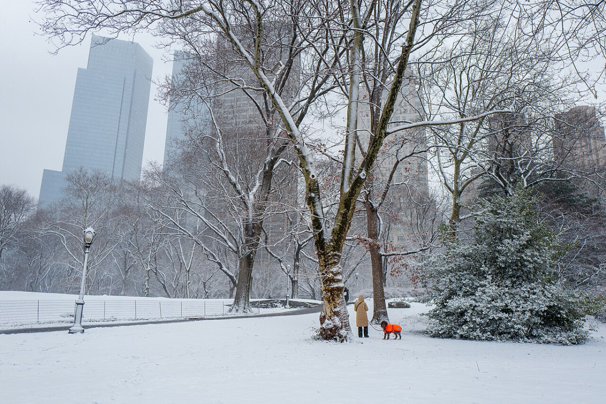 A snow-covered landscape of Central Park after the storm. 